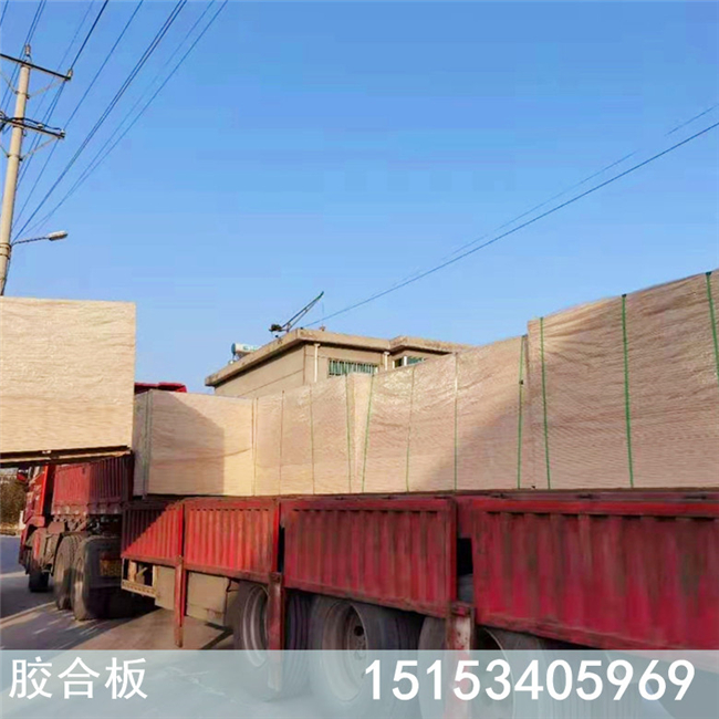 膠合板廠家批發(fā)籃球廠羽毛球場(chǎng)館鋪裝用膠合板